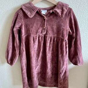 Zara Velvet Dress 4-5 years